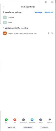 Zoom admit user 1